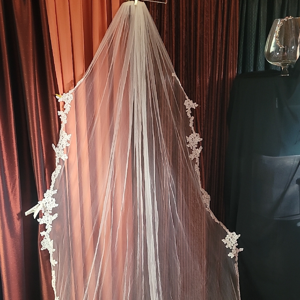 David's Bridal Ivory Lace Veil